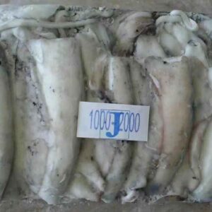Cuttlefish 4 300x300 - SEAFOOD
