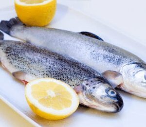 Trout Fish 7 300x261 - SEAFOOD
